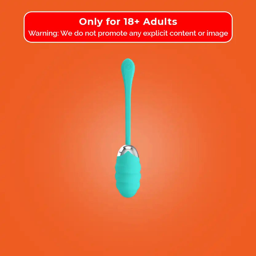 Bullet Capsule Vibrator Pretty Love 12 Mode Vibration