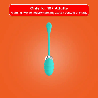 Bullet Capsule Vibrator Pretty Love 12 Mode Vibration